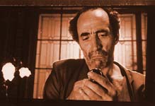 Un crisantemo estalla en Cincoesquinas