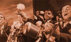 Un crisantemo estalla en Cincoesquinas