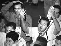 na11fo01.jpg (13598 bytes)