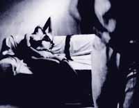 El microbicida se aplicaría dentro de la vagina, antes de tener relaciones sexuales, para destruir el virus HIV.