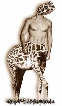 na28fo01.jpg (14006 bytes)