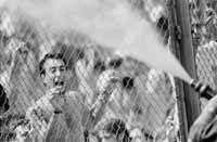 na10fo01.jpg (9767 bytes)