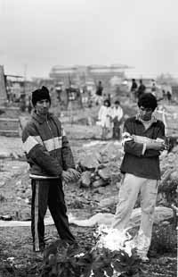 na13fo01.jpg (14862 bytes)