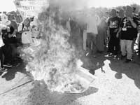 na18fo01.jpg (11054 bytes)