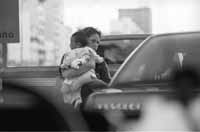 na12fo01.jpg (6144 bytes)