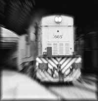 na12fo01.jpg (8313 bytes)