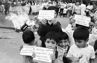 na15fo01.jpg (11485 bytes)