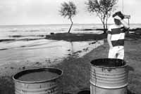 na19fo01.jpg (9161 bytes)