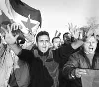 na02fo01.jpg (11598 bytes)