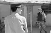 na20fo01.jpg (6859 bytes)