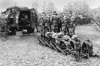 na17fo03.jpg (12230 bytes)