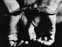 na16fo01.jpg (8290 bytes)