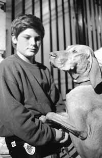 na20fo01.jpg (14219 bytes)