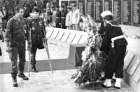 na20fo01.jpg (12988 bytes)