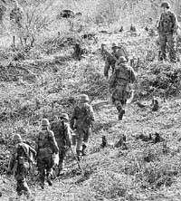 na23fo01.jpg (25883 bytes)