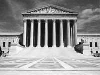 na11fo01.jpg (9664 bytes)