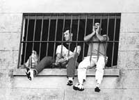 na04fo01.jpg (11066 bytes)