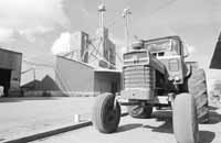 na10fo01.jpg (7920 bytes)