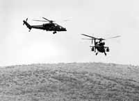 na21fo01.jpg (7601 bytes)