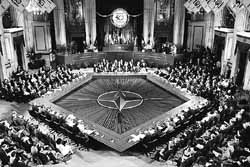 na22fo01.jpg (20877 bytes)