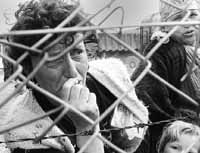 na20fo01.jpg (13287 bytes)