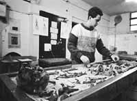 na08fo02.jpg (11397 bytes)