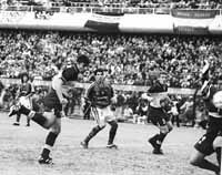 bu04fo01.jpg (16032 bytes)