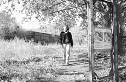 na21fo01.jpg (16657 bytes)