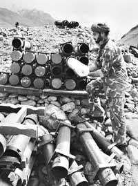 na24fo01.jpg (21069 bytes)