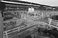 na11fo01.jpg (11080 bytes)