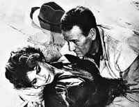 na28fo01.jpg (11978 bytes)