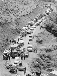 na20fo01.jpg (21113 bytes)