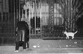 na12fo01.jpg (12276 bytes)