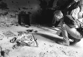 na22fo01.jpg (13357 bytes)