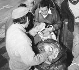 na21fo01.jpg (13883 bytes)