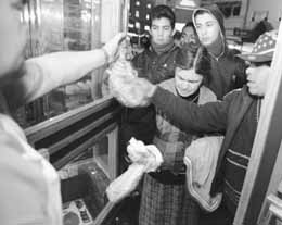 na21fo02.jpg (13354 bytes)