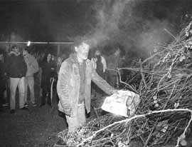 na12fo01.jpg (13934 bytes)