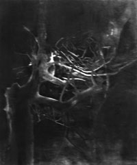 na29fo02.jpg (10788 bytes)