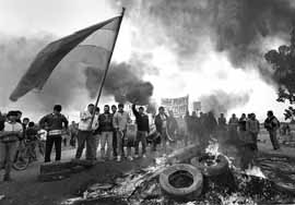 na07fo01.jpg (12861 bytes)