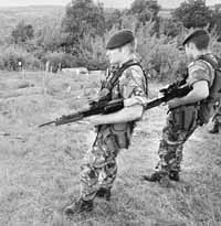 na22fo01.jpg (15925 bytes)