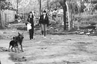 na08fo01.jpg (11018 bytes)