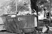 na08fo03.jpg (11358 bytes)