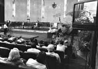 na19fo01.jpg (11624 bytes)