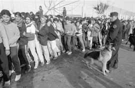 na28fo01.jpg (12690 bytes)