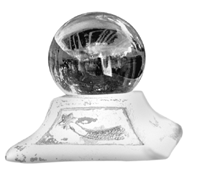 na20fo01.gif (19506 bytes)