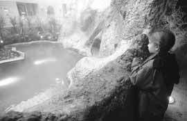 na20fo01.jpg (9805 bytes)