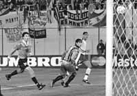 bu06fo01.jpg (13661 bytes)