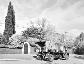 na07fo01.jpg (14389 bytes)