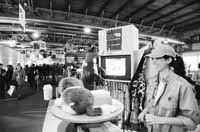 na19fo01.jpg (11607 bytes)