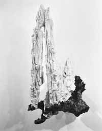 na29fo01.jpg (8065 bytes)